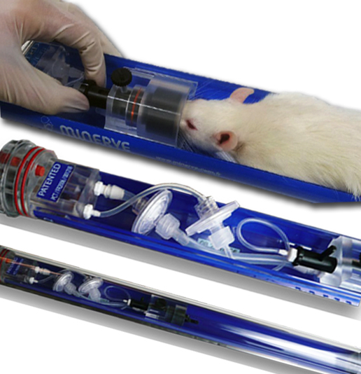 Animal Handling