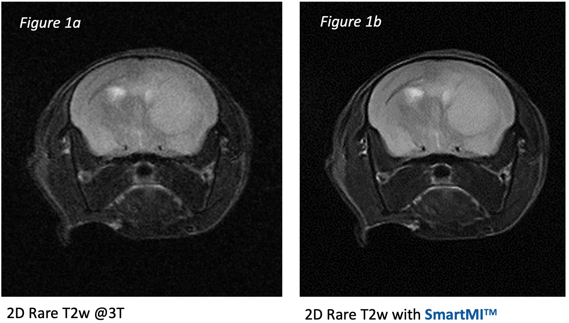 SmartMI AI for preclinical MRI