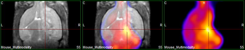 Mouse_Multimodality_Multiview_cor_PET-MR4